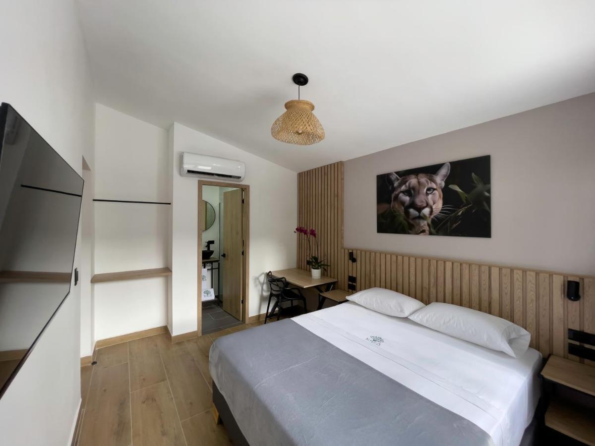 Vita Hotel Boutique เมเดยิน ภายนอก รูปภาพ