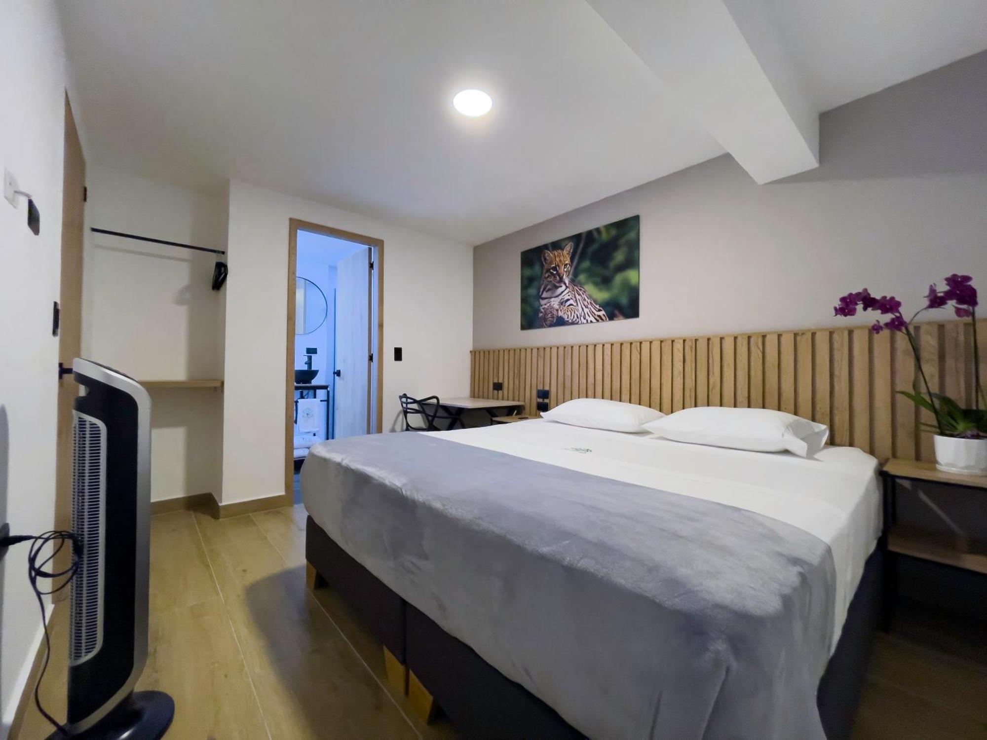 Vita Hotel Boutique เมเดยิน ภายนอก รูปภาพ